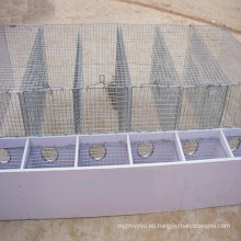 Acero inoxidable Perro Bird Parrot Cage